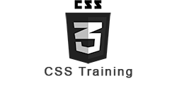 css logo